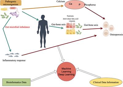 Exploring the impact of pathogenic microbiome in orthopedic diseases: machine learning and deep learning approaches